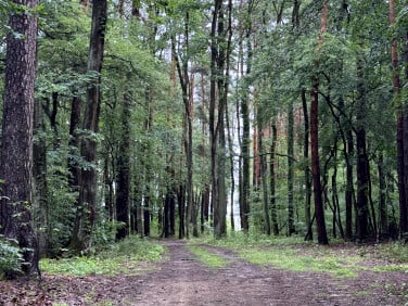 Działka budowlana Magdalenka