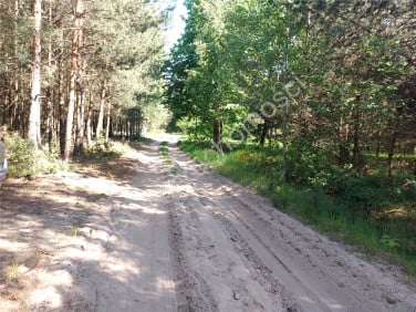 Działka rolna Nowe Groszki