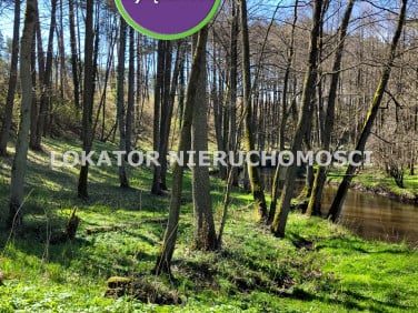 Działka rolna Skórka