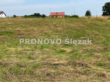Działka budowlana Strupina