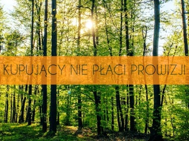 Działka leśna Ustanów