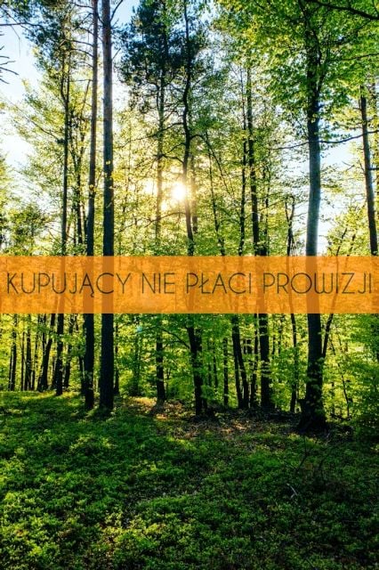 Działka leśna Ustanów