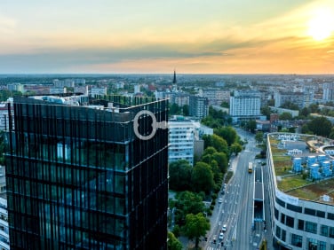 Lokal Wrocław