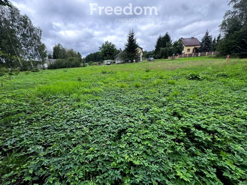 Zdjęcie 3