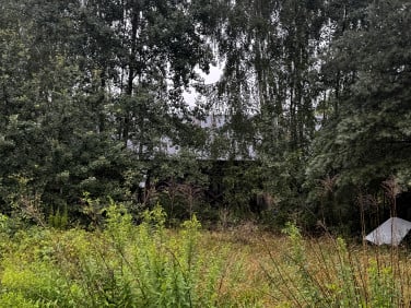Działka siedliskowa Grabce-Towarzystwo