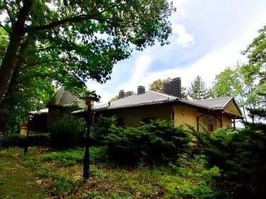 Lokal Leśna
