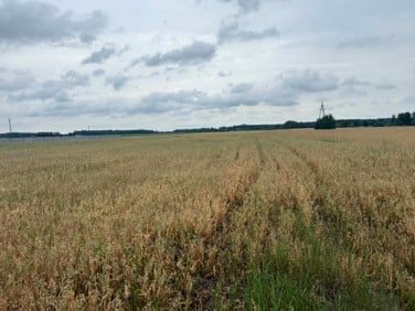 Działka rolna Wielopole