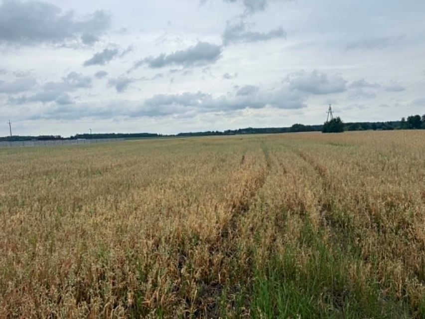 Działka rolna Wielopole