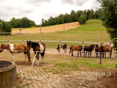 Działka Celejów