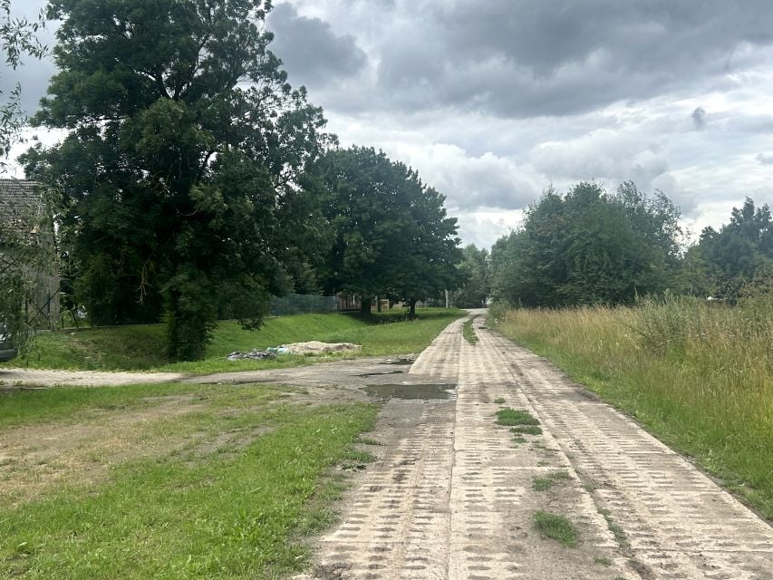 Zdjęcie 3