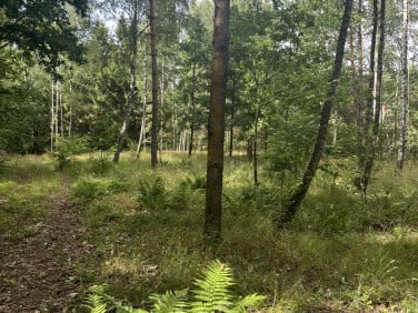Działka budowlana Orzechów-Kolonia