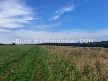 Pusta działka Zawada