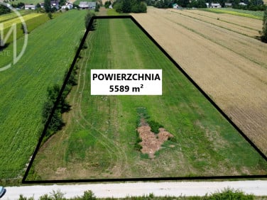 Działka budowlana Wilchta