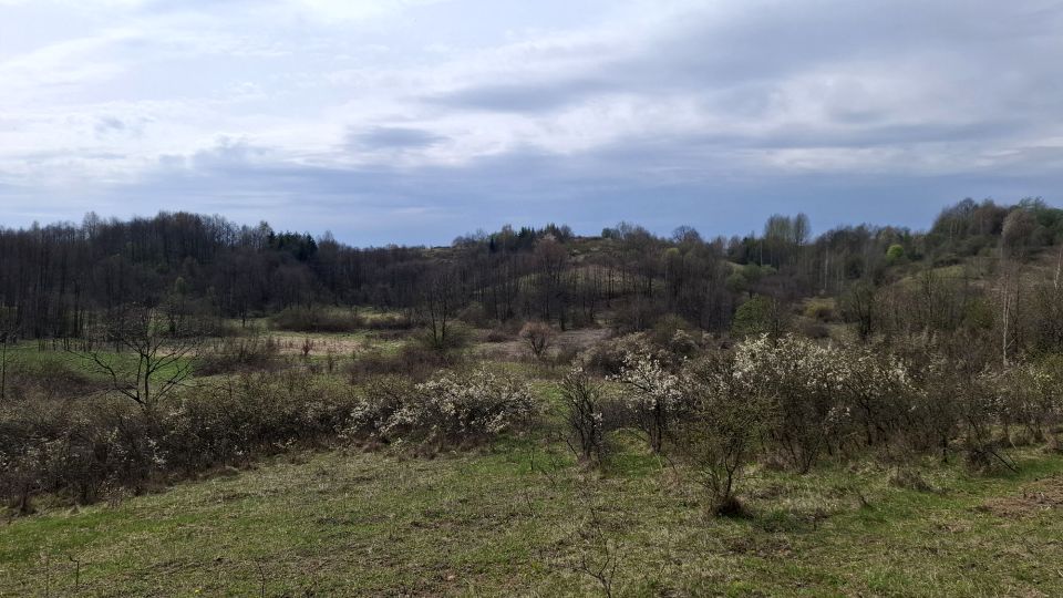Działka budowlano-rolna Humniska