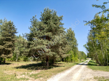 Działka Radonie