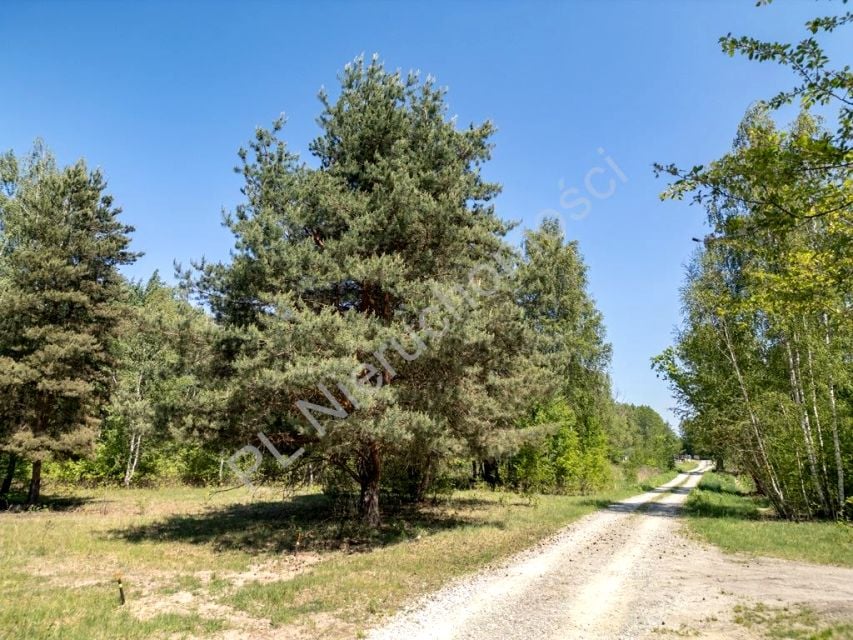 Działka Radonie