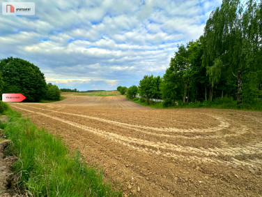 Działka budowlana Charzykowy