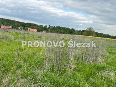 Działka budowlano-rolna Skarszyn