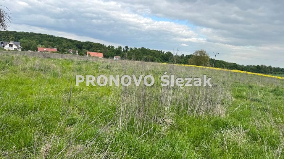 Działka budowlano-rolna Skarszyn