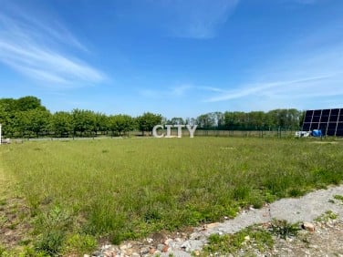 Działka Borów