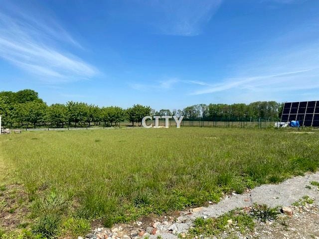 Działka Borów
