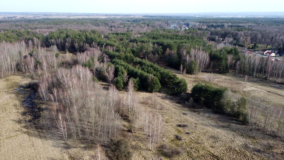 Działka budowlana Głogów Małopolski