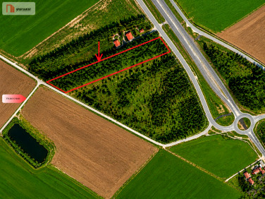 Działka Turowo