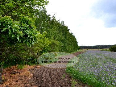 Działka budowlana Giżyn