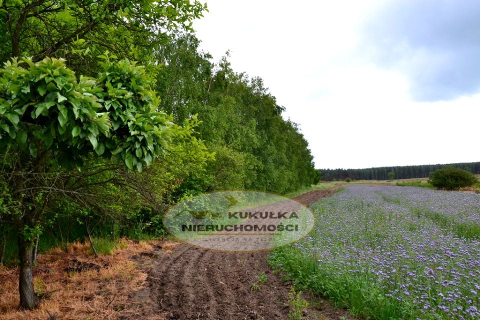 Działka budowlana Giżyn