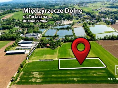 Działka budowlana Międzyrzecze Dolne