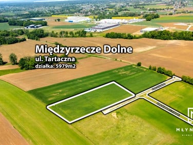 Działka budowlana Międzyrzecze Dolne sprzedam