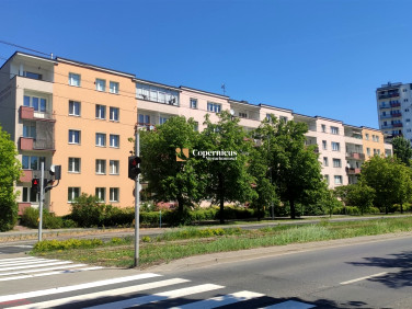 Mieszkanie Toruń