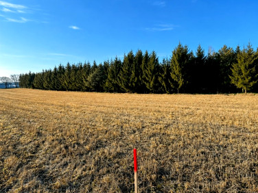 Działka Osie