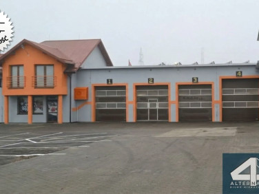 Lokal Mniszków