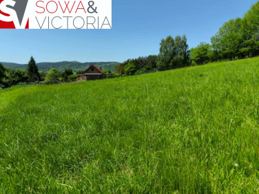 Działka budowlana Głuszyca