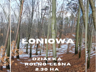 Działka rolno-leśna Łoniowa sprzedam