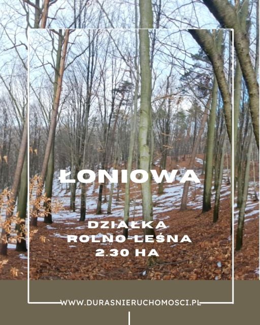 Działka rolno-leśna Łoniowa sprzedam