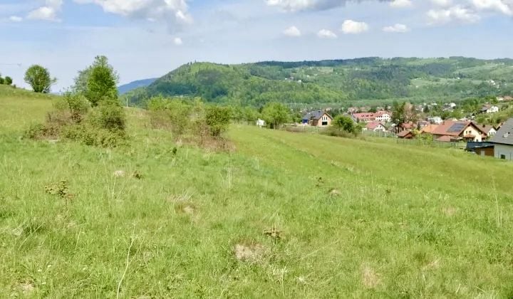 Zdjęcie 2