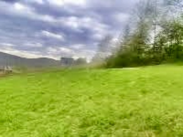Działka Świnna