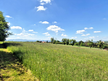 Działka budowlana Cieszyn