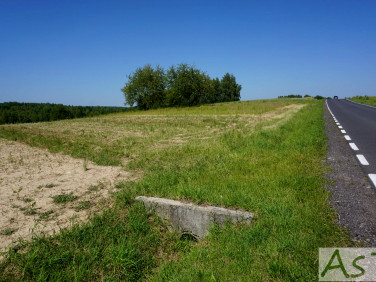 Działka rolna Czułów