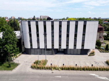 Lokal Opole