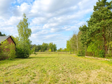 Działka budowlana Miedniewice