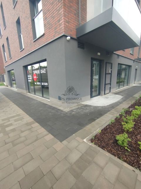 Lokal Wrocław