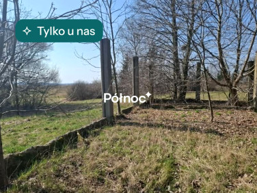 Działka siedliskowa Suraż