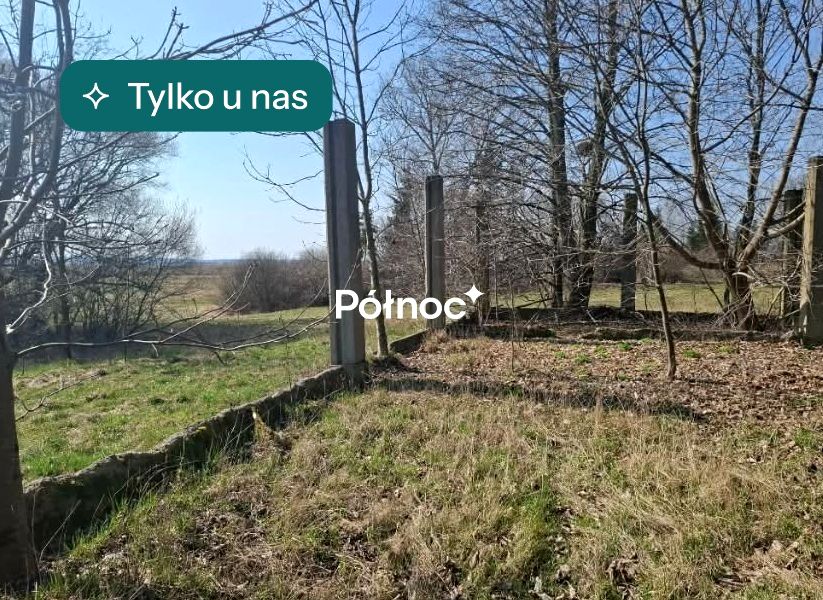 Działka siedliskowa Suraż
