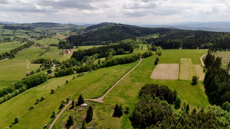 Działka Bartnica