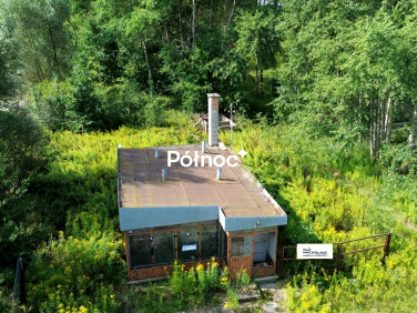 Lokal Pasternik