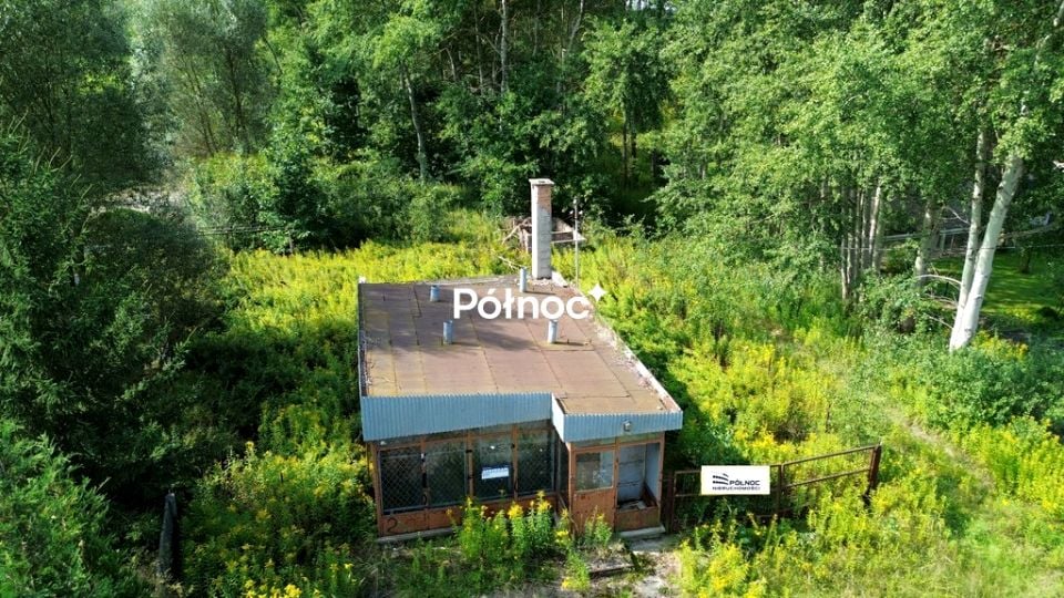 Lokal Pasternik