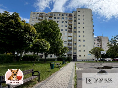 Mieszkanie GORZÓW WIELKOPOLSKI